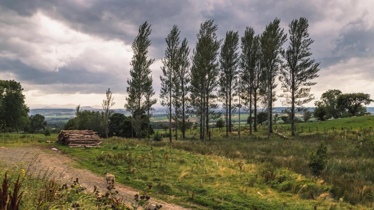 Alston House Hotel Екстериор снимка
